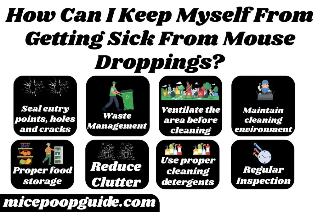 How Can I Keep Myself From Getting Sick From Mouse Droppings