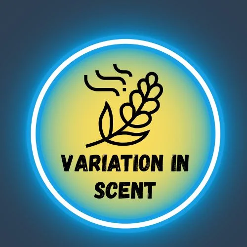 Variation in Scent