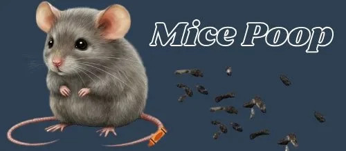 mice poop logo